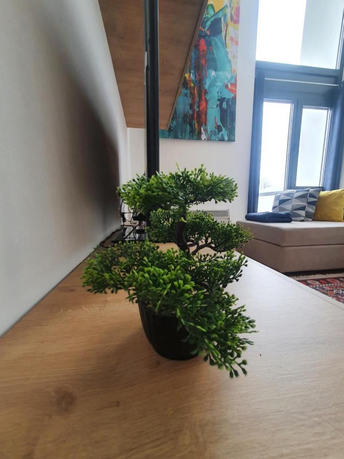 Bjelasnica Tuzlaks Apartment Bagian luar foto